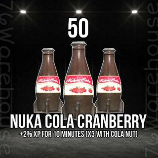 Nuka Cola Cranberry Game Items Gameflip