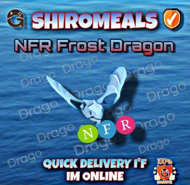 Pet Nfr Frost Dragon Game Items Gameflip