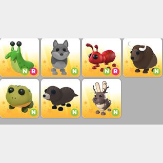 Bundle ADOPT ME PET 7X Game Items Gameflip