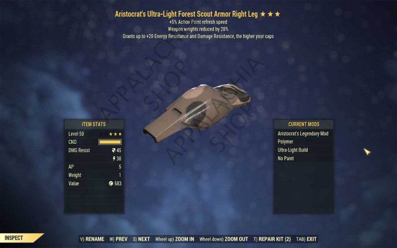 Ari Ap Wwr Aristocrat S Weapon Weight Reduction Scout Armor Set