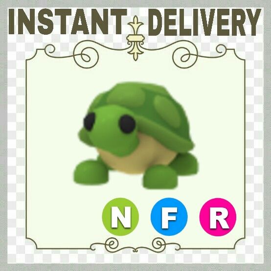 Pet NFR TURTLE Game Items Gameflip