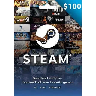 $100.00 Steam