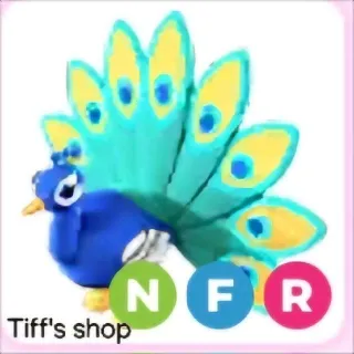 Nfr Peacock