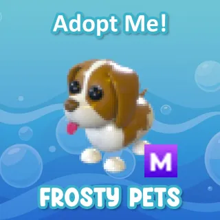 Mega Brown Springer Spaniel 