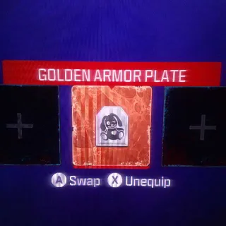 Other | 9 Golden Armor Plates