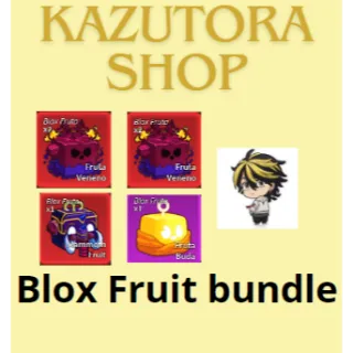 Blox fruits bundle