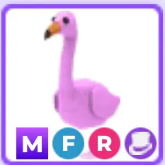 MFR Flamingo