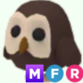 MFR Owl