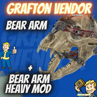 Plan | Bear arm + heavy mod