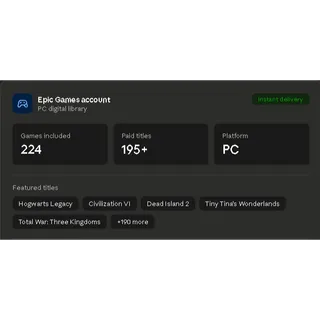 Epic Games account