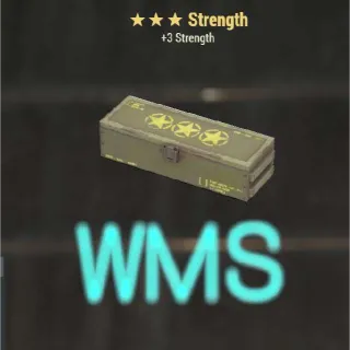 Strength Legendary Mod