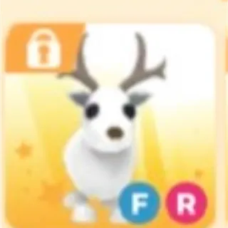arctic reindeer