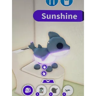 NFR Shark Puppy Adopt Me!