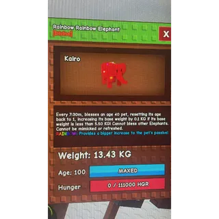 RAINBOW RAINBOW HATCH / RBH ELEPHANT 13KG