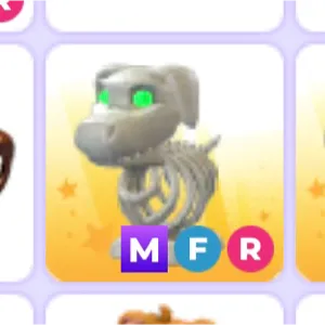 MFR Skeleton dog