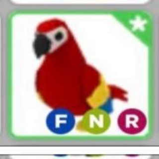 Pet Adopt Me Fnr Parrot In Game Items Gameflip