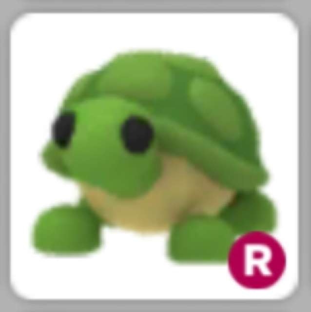 Pet Adopt Me Ride Turtle In Game Items Gameflip
