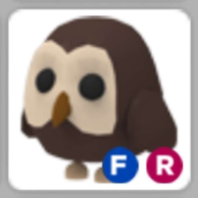 Pet | Adopt Me | Fly Ride Owl - Game Items - Gameflip