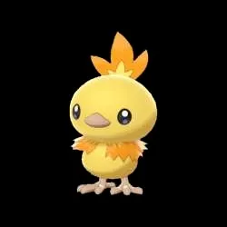 Alpha Shiny Torchic ZA
