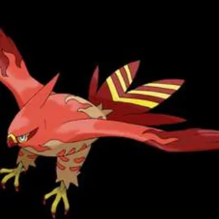 Shiny Alpha Talonflame Z