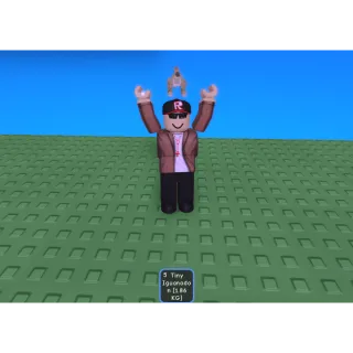 Tiny Iguanodon | Grow A Garden