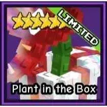 Plant in the box 