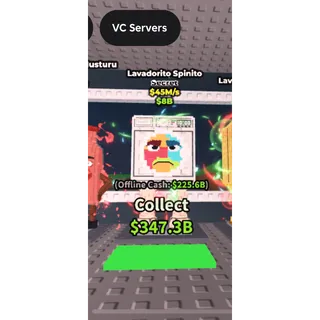 Lavadortio spinito  (base)