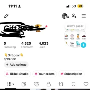 TikTok account 4,525 followers