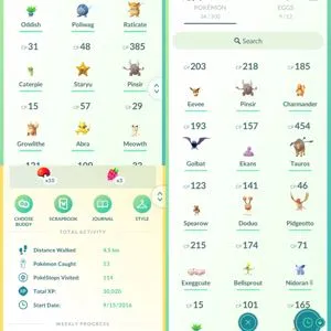 Pokémon GO account