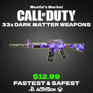 Black ops 6: Dark Matter 33 weapons