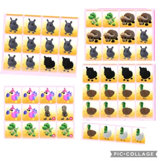 Adopt me pet bundle