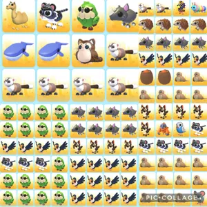Pet Bundle