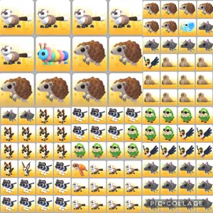 Pet Bundle Adopt Me 100+