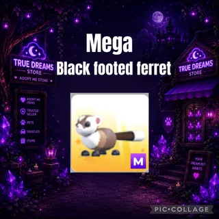 mega black footed ferret
