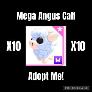 10 Mega Angus Calf