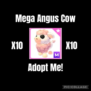 10 Mega Angus Cow