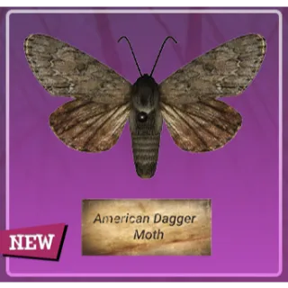 Taxidermy american dagger moth [Plan]