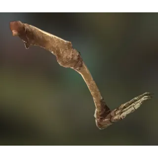 Fossilized Megalonyx Left Leg [Plan]