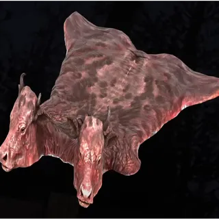 Brahmin skin rug [Plan]