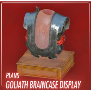 Goliath Braincase Display