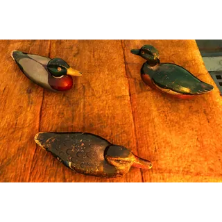 Decoy Ducks [Plan]
