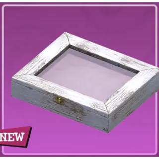 Moths of West Virginia display cabinet [Plan]