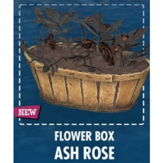 Flower Box – Ash Rose [Plan]