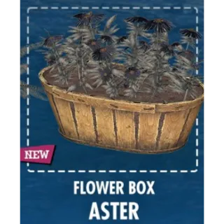 Flower Box – Aster [Plan]