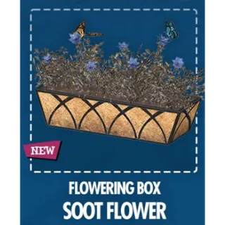 Flowering Box – Soot Flower [Plan]