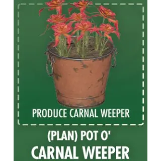 Pot o' carnal weeper [Plan]