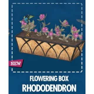 Flowering Box – Rhododendron [Plan]