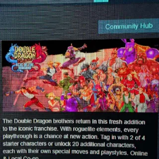 Double Dragon Gaiden: Rise Of The Dragons