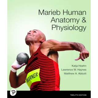 Marieb Human Anatomy and Physiology 12th Edition