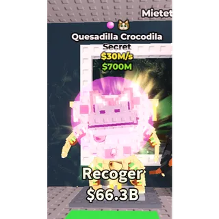 Quesadilla Crocodila 30M/s